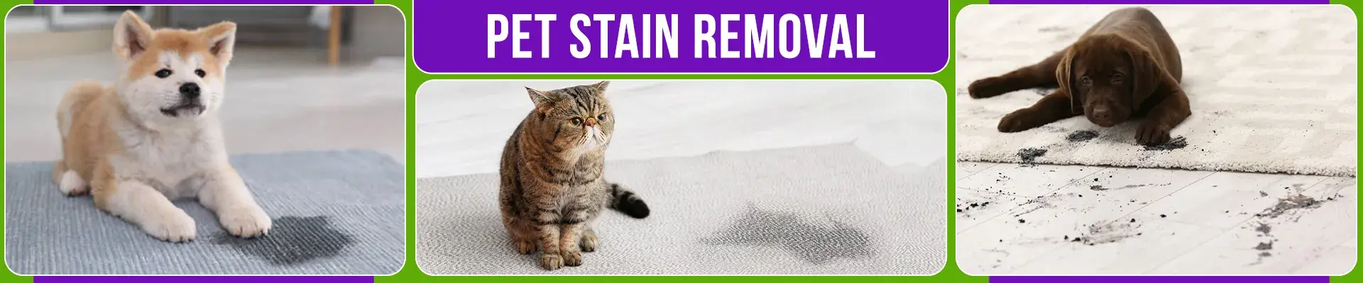 carpet cleaning in brooklyn, carpet cleaning in new york, carpet cleaning brooklyn, carpet cleaners in brooklyn, carpet cleaners in new york, commercial carpet cleaning, commercial carpet cleaning in brooklyn, brooklyn rug cleaners, rug cleaning services in brooklyn, same day carpet cleaning, same day rug cleaning