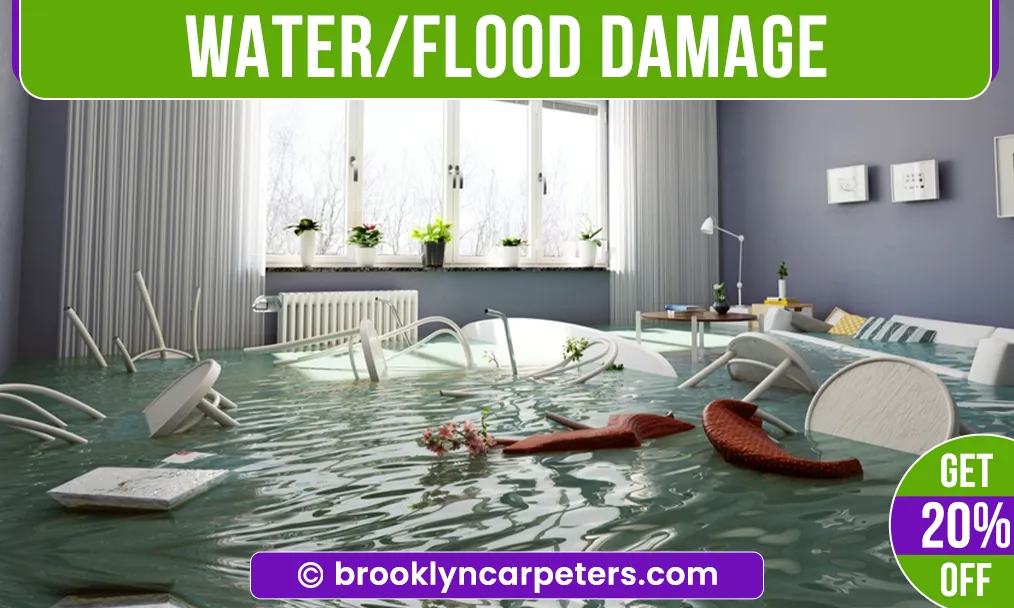 carpet cleaning in brooklyn, carpet cleaning in new york, carpet cleaning brooklyn, carpet cleaners in brooklyn, carpet cleaners in new york, commercial carpet cleaning, commercial carpet cleaning in brooklyn, brooklyn rug cleaners, rug cleaning services in brooklyn, same day carpet cleaning, same day rug cleaning