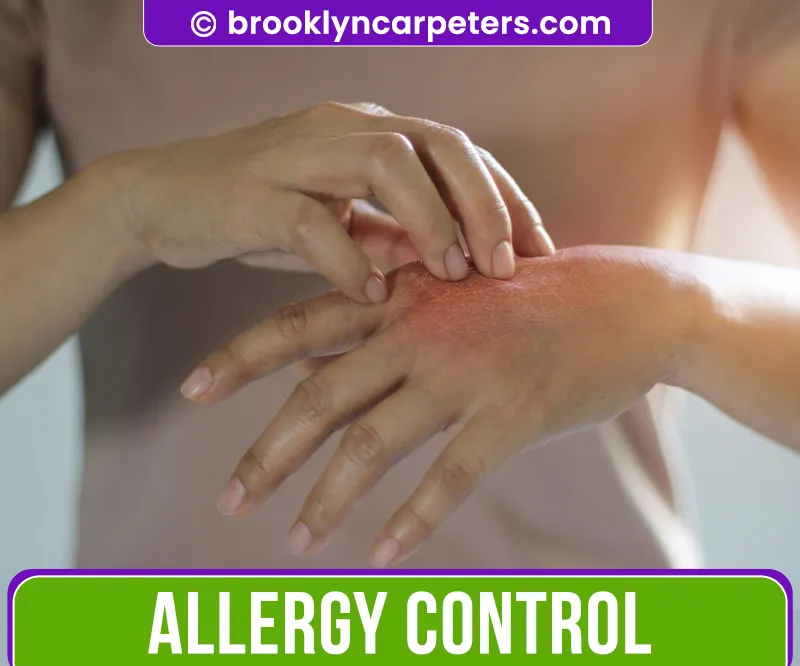 carpet cleaning in brooklyn, carpet cleaning in new york, carpet cleaning brooklyn, carpet cleaners in brooklyn, carpet cleaners in new york, commercial carpet cleaning, commercial carpet cleaning in brooklyn, brooklyn rug cleaners, rug cleaning services in brooklyn, same day carpet cleaning, same day rug cleaning